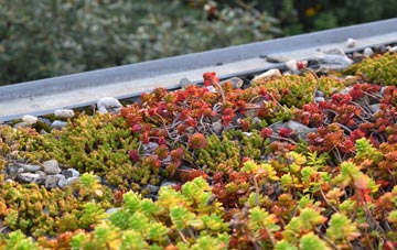 the cost of Burgates green roof installation