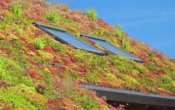 Burgates living roof systems